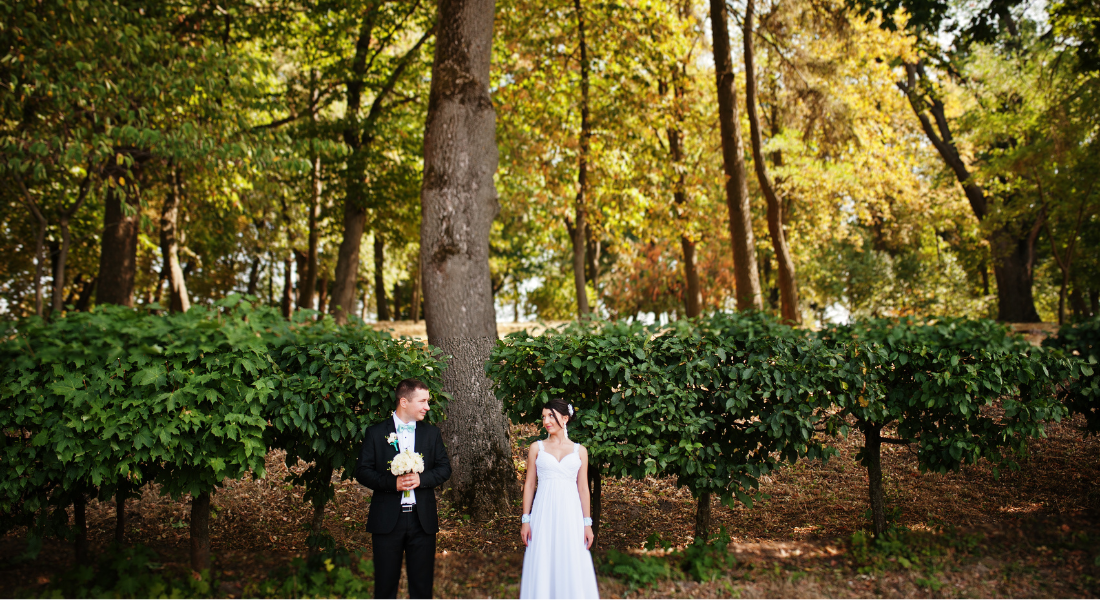 Getting Married in Tennessee State Parks An Experience